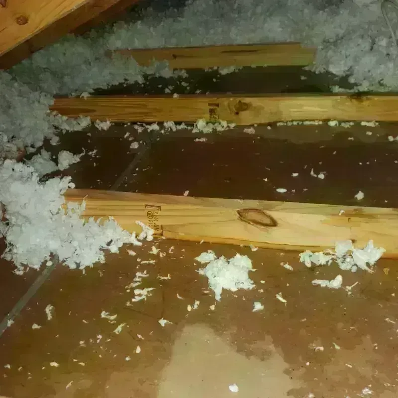 Attic Water Damage in Carlisle-Rockledge, AL