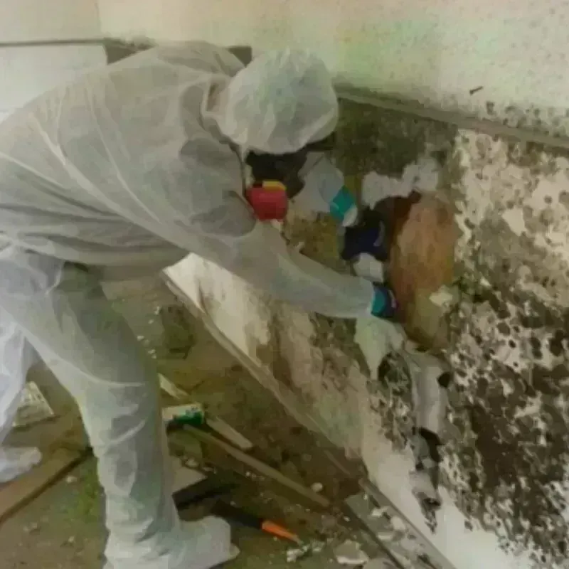 Mold Remediation and Removal in Carlisle-Rockledge, AL