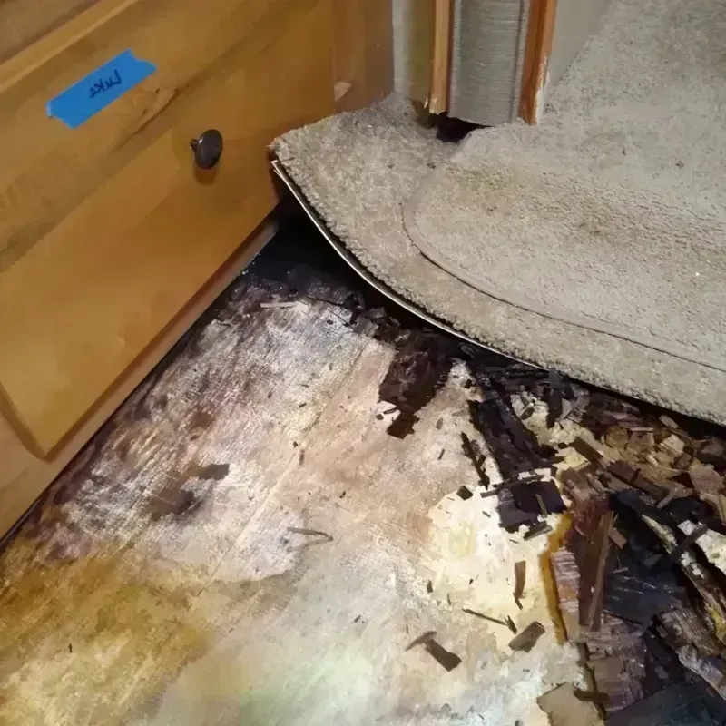 Best Wood Floor Water Damage Service in Carlisle-Rockledge, AL